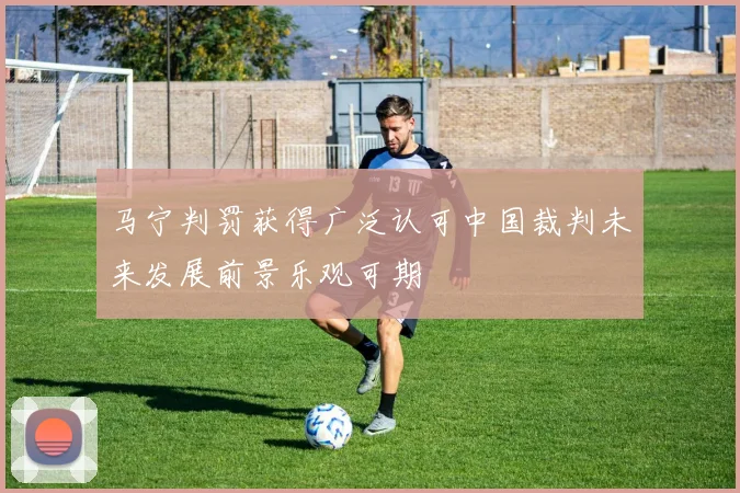 马宁判罚获得广泛认可中国裁判未来发展前景乐观可期