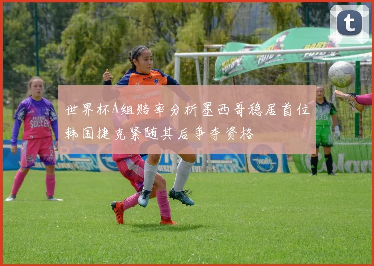 世界杯A组赔率分析墨西哥稳居首位韩国捷克紧随其后争夺资格